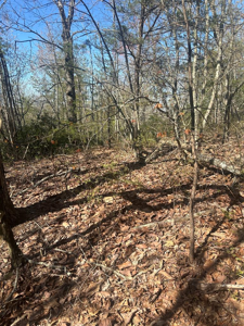 Lot 164 Bluff Lane