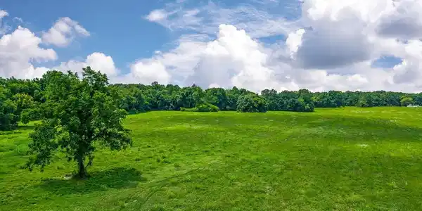 Lot 4 Country Club Rd