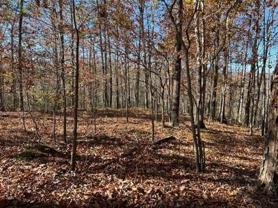 2.19 Ac Old Hwy 53