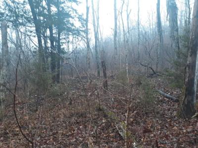 Crab Mountain Road