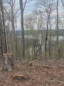 21 AC St John'S Cemetery Rd