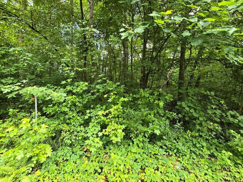 Image 1: Main View