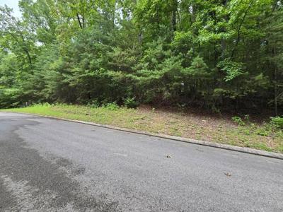 Lot 134 Lower Brow Road