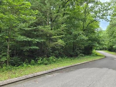 Lot 135 Lower Brow Road