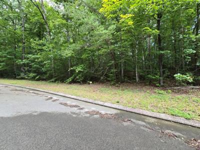 Lot 136 Lower Brow Rd