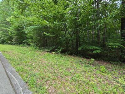 Lot 138 Lower Brow Rd