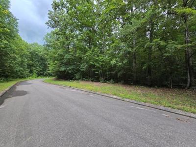 Lot 140 Lower Brow Road
