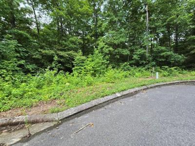Lot 142 Lower Brow Road