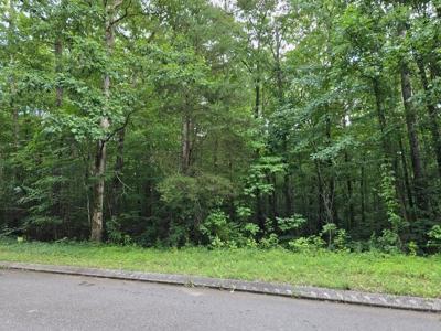 Lot 144 Lower Brow Road