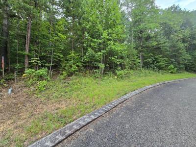 Lot 155 Lower Brow Road