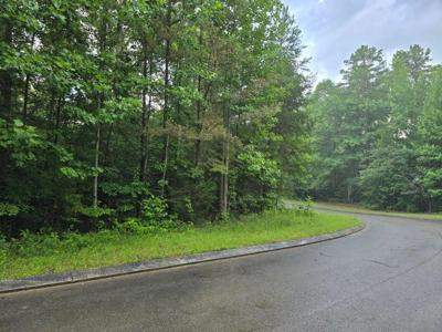 Lot 156 Lower Brow Road
