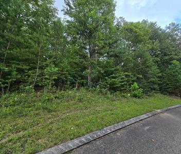 Lot 157 Lower Brow Road