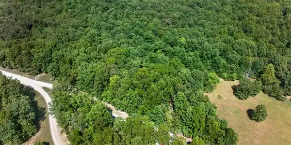 Lot 64 Long Branch Rd