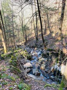 Lot 165 Bluff Lane