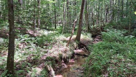 Tract 27 Airport Rd - Piney Creek Acres