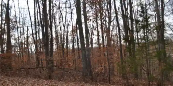 6.70ac Wet Mill Creek Rd