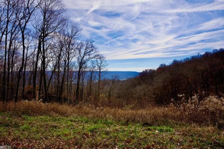 36AC White Oak Flatt Rd