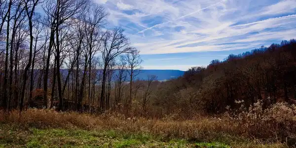 36AC White Oak Flatt Rd
