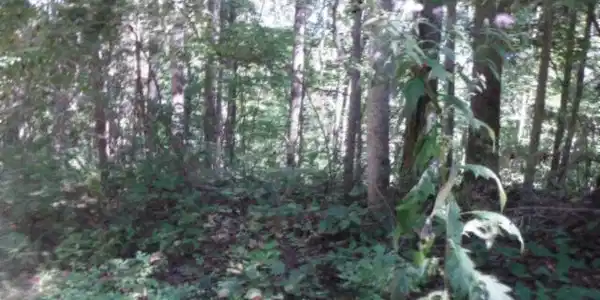 Lot 13 Lord Botetourt Court