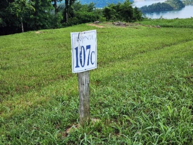 Image 2: Lot 107C
