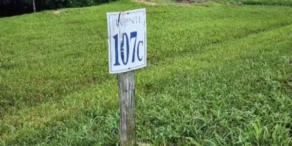 Image 2: Lot 107C