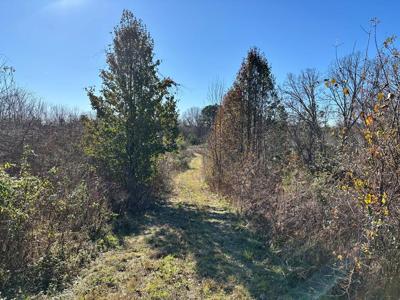 7 ACRES Holt Spur Drive