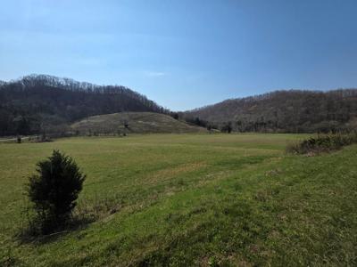 31.14 ac Dry Mill Creek Road