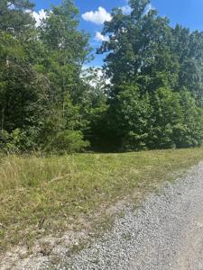 Lot 2 Buckeye Lane