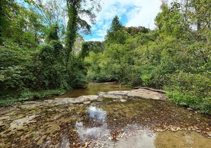 5154 Dry Mill Creek