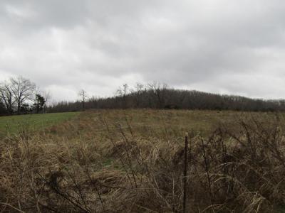 3.94ac Anderson Rd