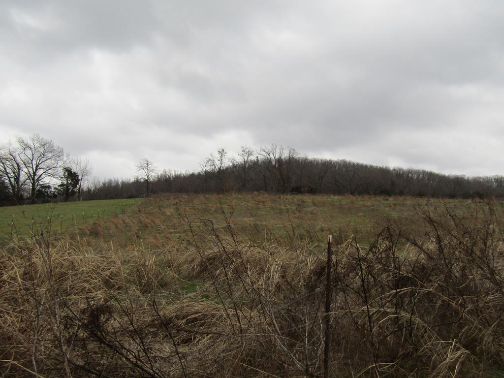Image 1: Main View