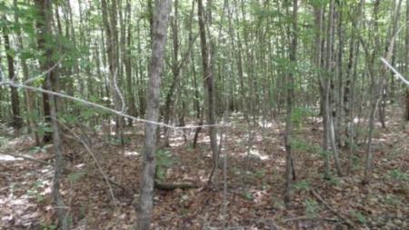 Lot 48 Parkstown Ext. Rd