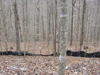 Lot 60 Bobcat Lane