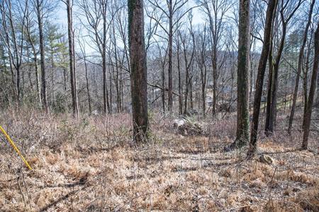 Lot 54 Lake Valley Dr.