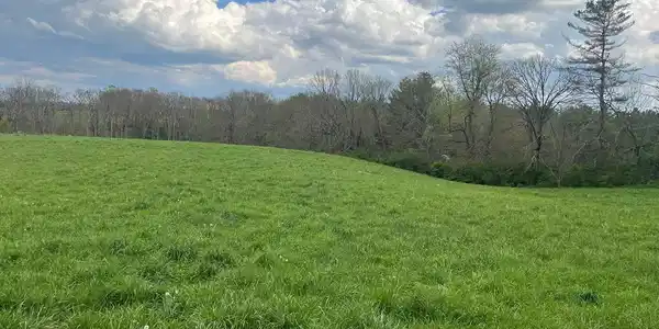 8.5 AC Dykes Rd