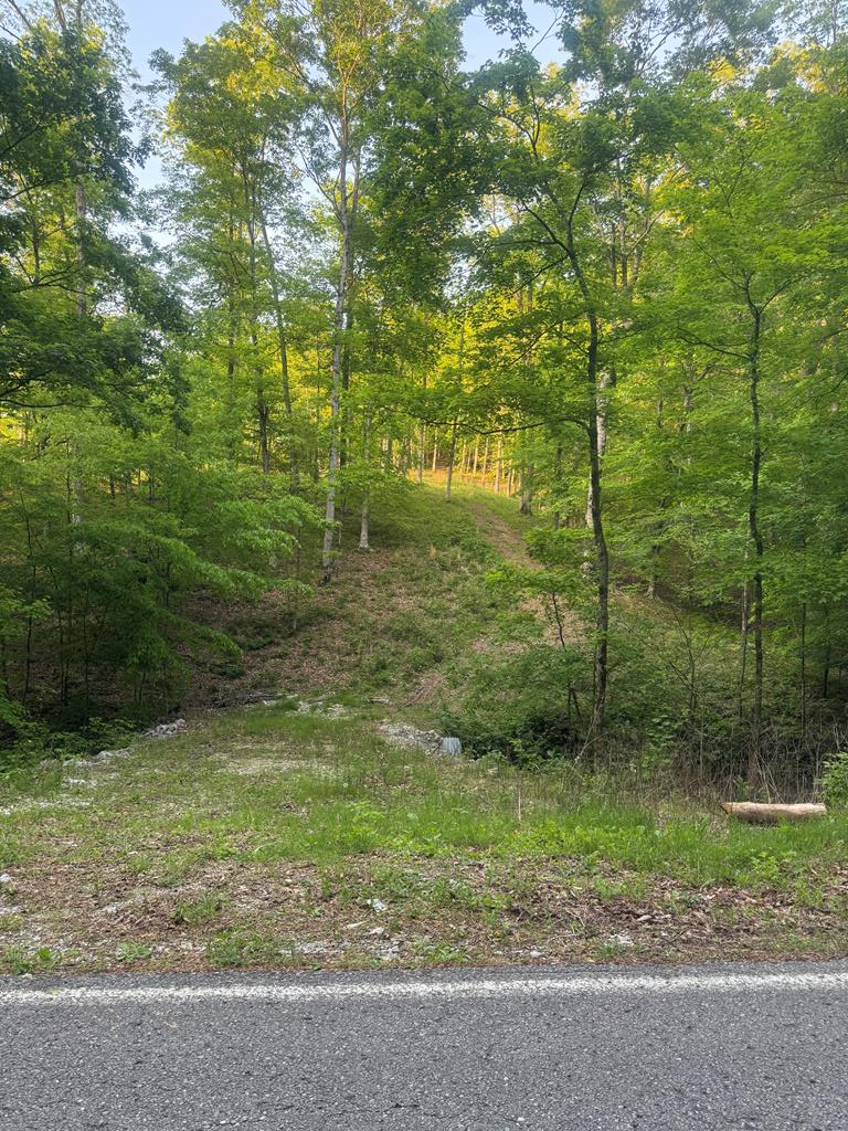 Image 1: Main View