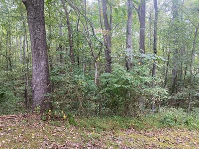 LOT 1 ARROW TRAIL