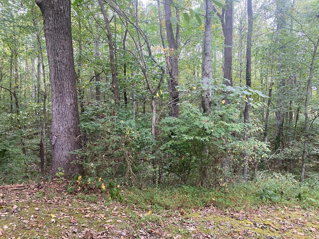 Image 1: Main View