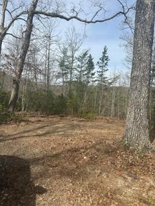Lot 432 Lot 432 Valley View Circle