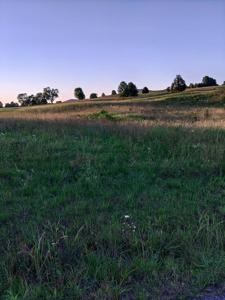 Lot 51 & 52 Collins Run