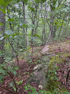Lot 33 Wilson Ridge Road