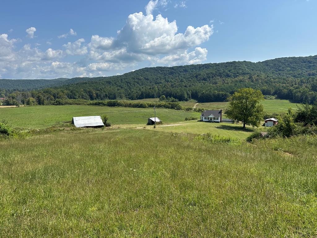 Image 1: Main View
