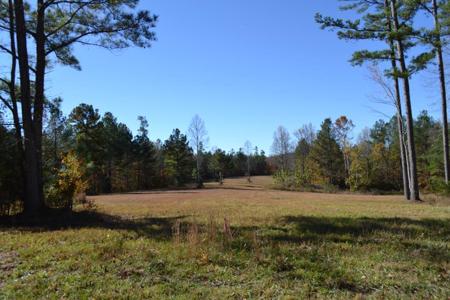 28.30ac Whitson Hollow Rd