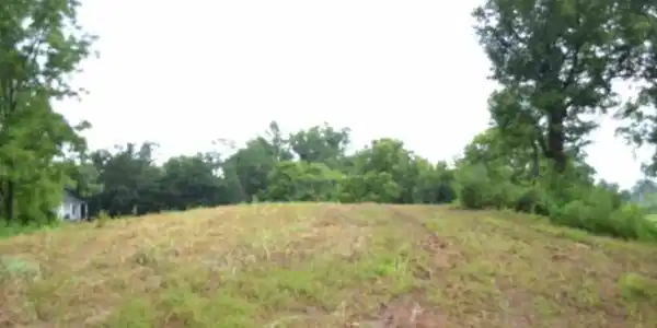 23+/-ac Pea Ridge Fire Tower Rd