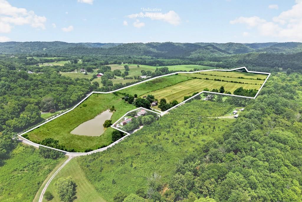Image 1: Main View