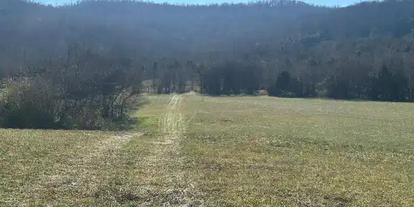Cane Creek Cummingsville Rd