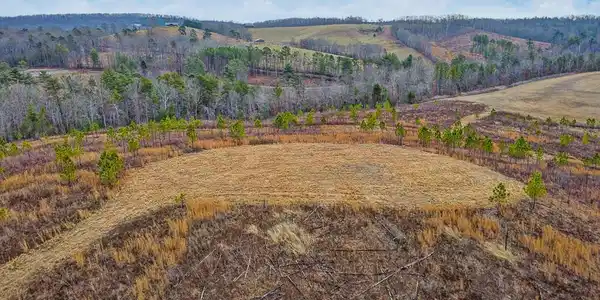 Possum Trot Road - Tract 2