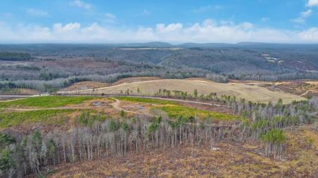 Possum Trot Road - Tract 3