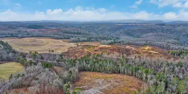 Possum Trot Road - Tract 4