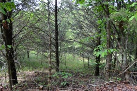 9ac Circle Rd